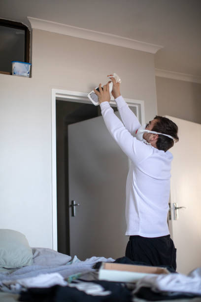 Best Black Mold Removal  in Tucson Mountains, AZ