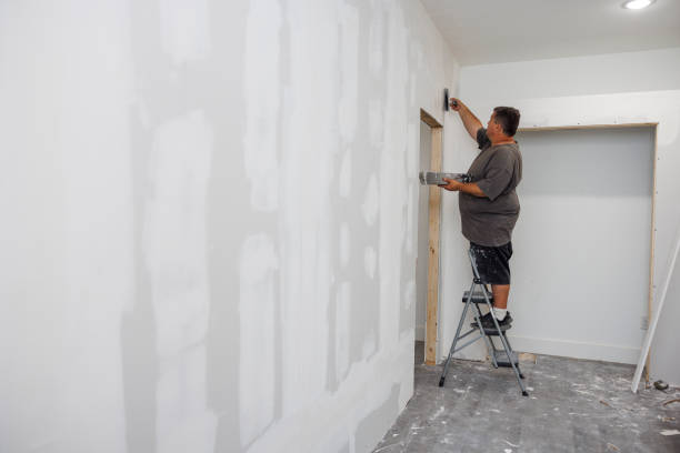 Best Emergency Mold Remediation  in Tucson Mountains, AZ