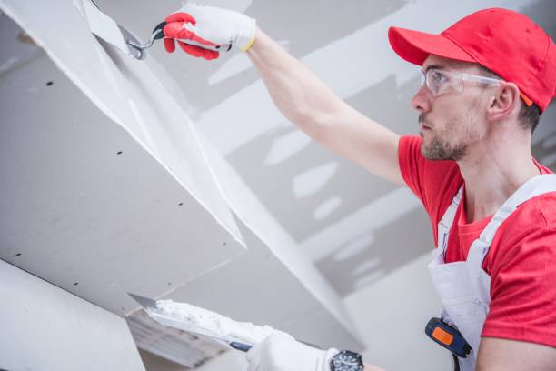 Reliable Tucson Mountains, AZ Mold Removal Solutions
