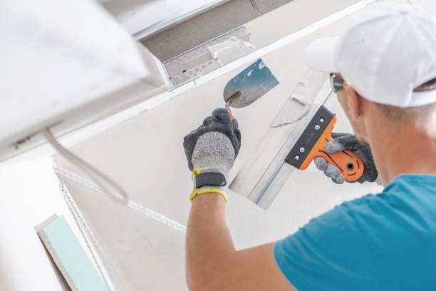 Best Mold Remediation for Healthcare Facilities  in Tucson Mountains, AZ